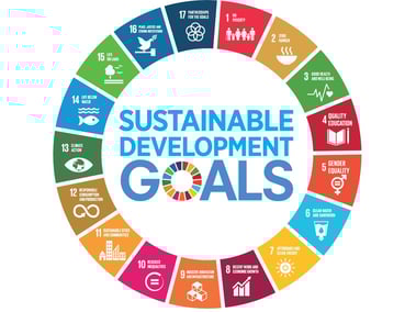 Sustainable-Development-Goals-Wheel-1